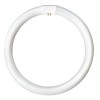 40W Circular Fluorescent Tube